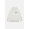 FOG ESSENTIALS Flocked Pullover Hoodie Mens Casual Sweatshirt Youth Streetwear