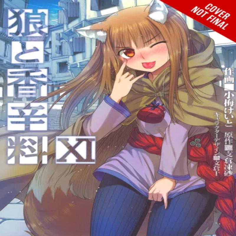 Spice and Wolf Vol 11  Novel by Isuna Hasekura Paperback Book 9780316324274