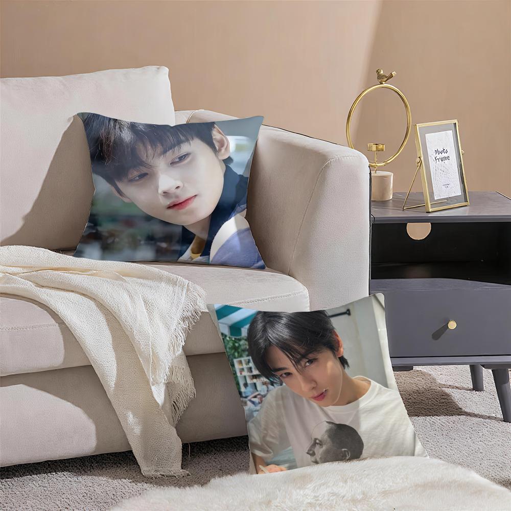 Handsome Kpop Idol CCha EEun Woo Cushion Cover Pillowcase Short Plush Invisible Zipper Room Sofa Cushion Cover