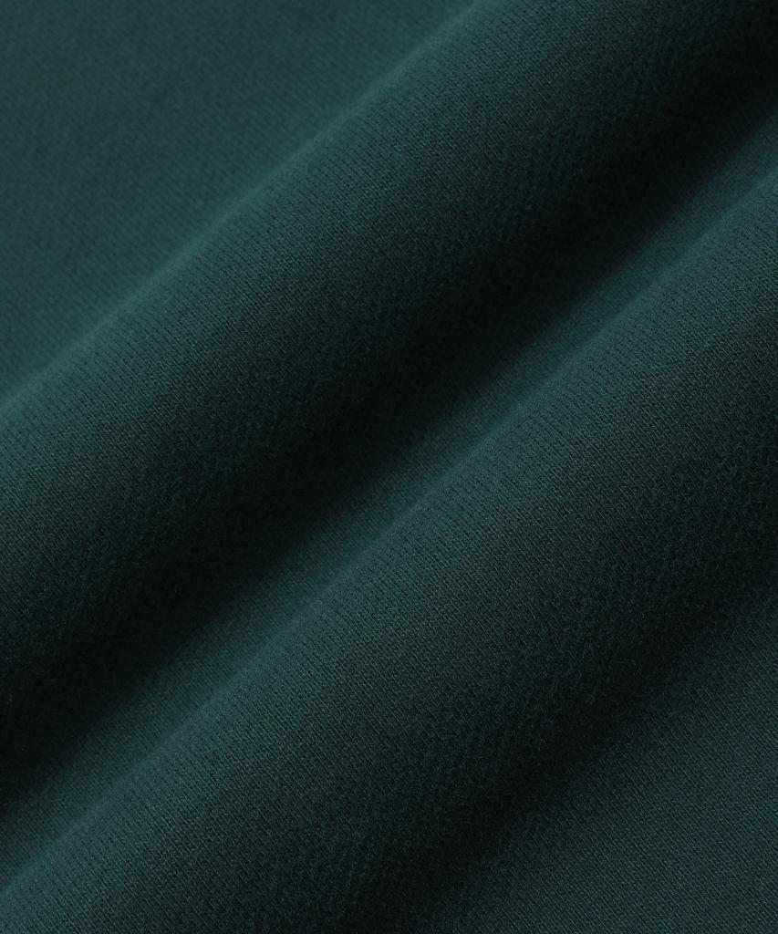 VOLCOM Snow & Surf Brushed Sweatpants (Dark Green)