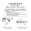 Sanrio Message Card Chihiro Iwasaki Multipurpose Card Balloon and Soaring Boy Greeting Card Can Be Shipped Overseas MU123-2 SANRIO 831964