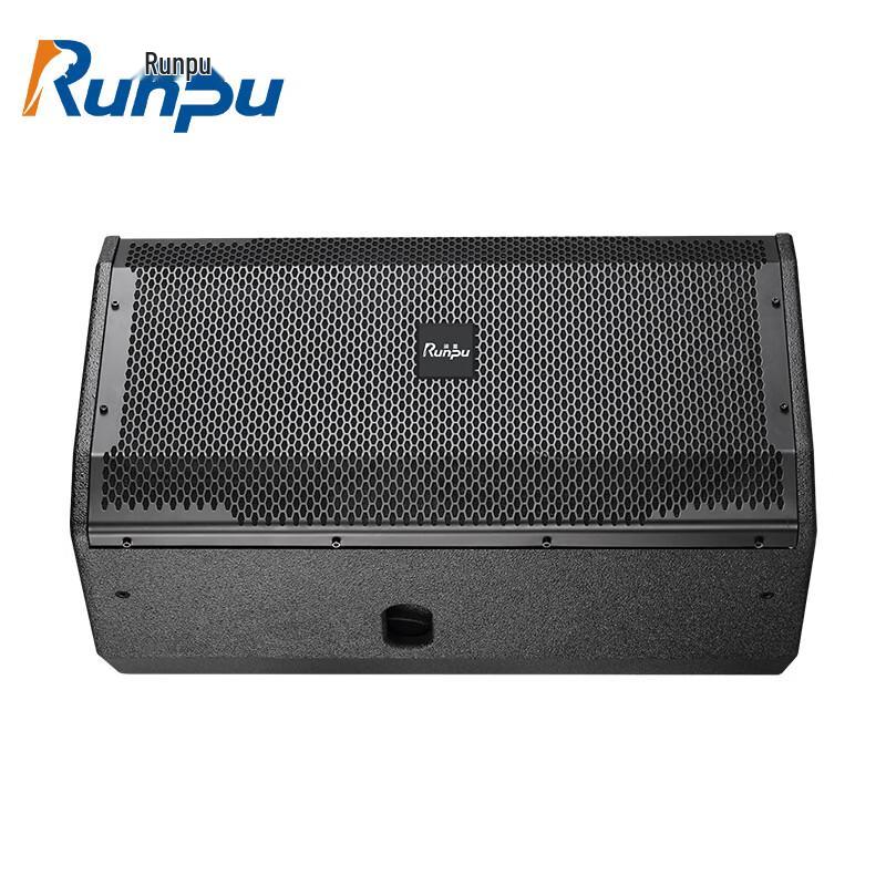 Runpu 12-inch Professional Passive Monitor Speaker