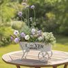 Wheelbarrow Planter Metal Decorative Cart Planter Cart Flower Pot Vintage Plant Container Rustic for Home Decorators, Patio