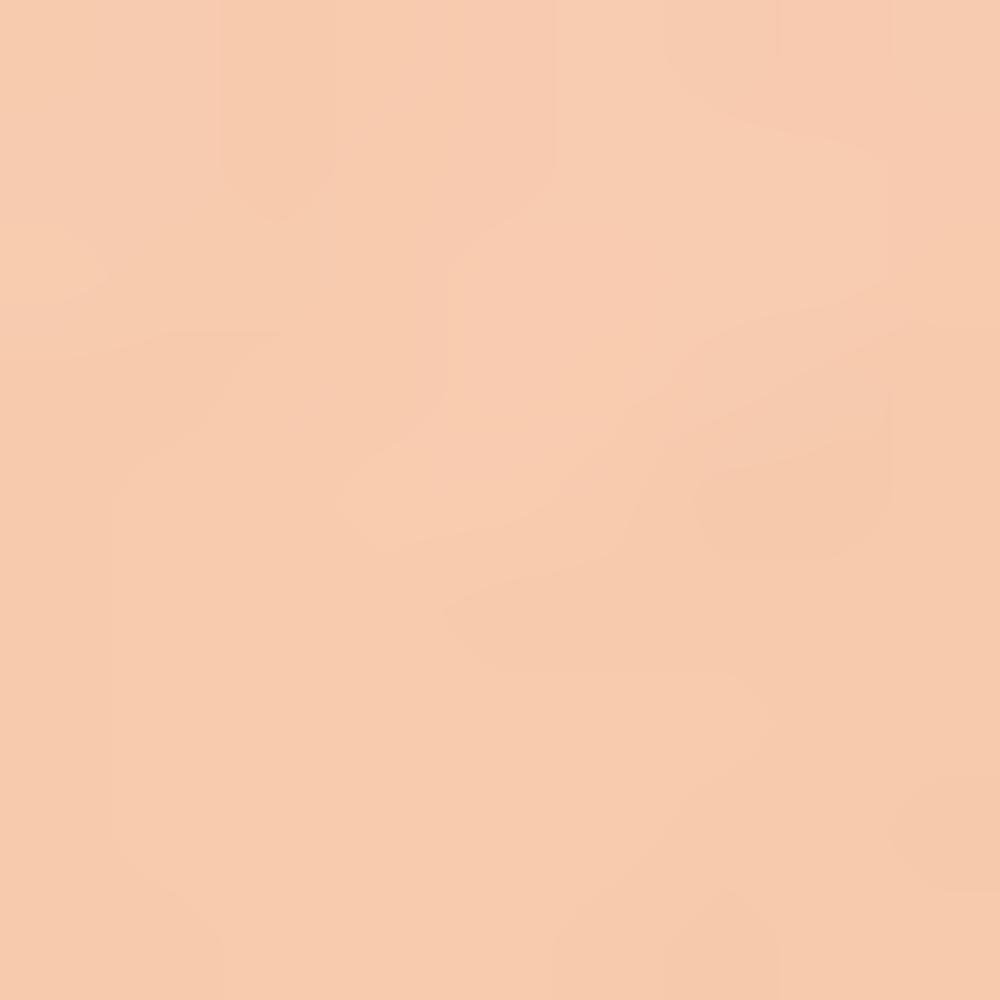 Skinfood Salmon Dark Circle Concealer 10g (Shade 0 / Shade 1 / Shade 2 – Blooming / Beige)