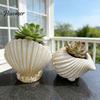 Small Decorative Indoor Planter Seashell Conch Succulents Planter, Resin Ocean-Themed Flower Pot with Drainage Hole, Wedding Table Centerpieces Beach