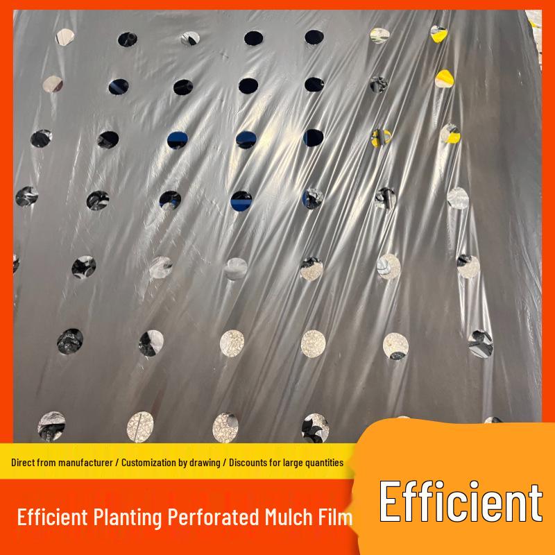 Perforated Black Mulch Film for Moisture Retention and Weed Control in Vegetable and Herbal Planting