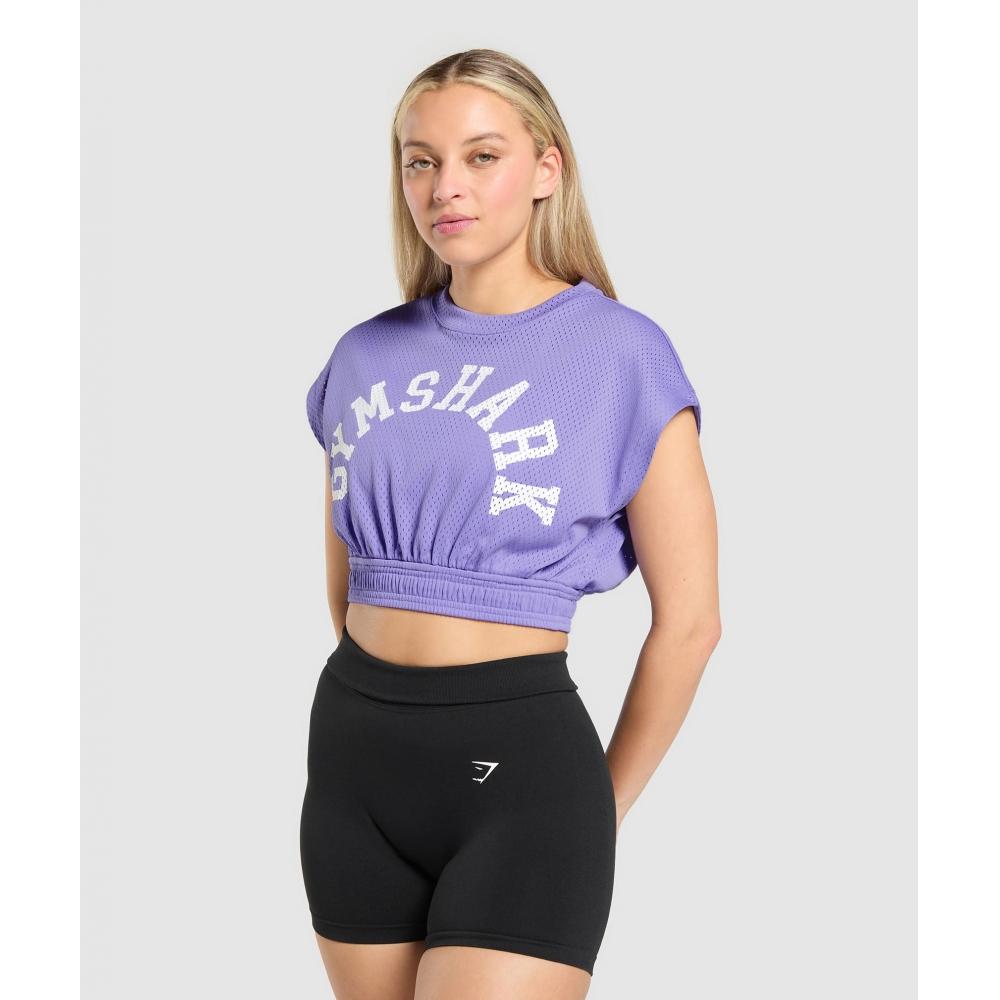Gymshark Top Crop Grafic din Plasă Record Violet B4b1l Pb56