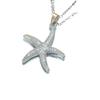Modische Seestern-Halskette mit Persönlichkeit Vielseitiges Design Schlüsselbeinkette Einfache Temperaments-Halskette Frauen