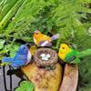 4PCS Micro Landscapes Mini Bird Figurines Nest of Bird Figures Animal Model Fairy Garden Decoration Home Decor Bonsai Ornaments