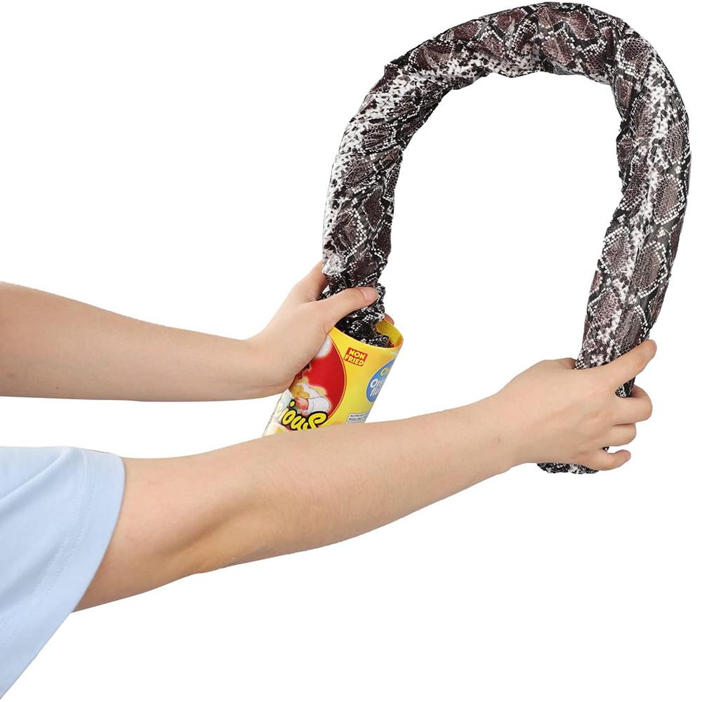 Potato Chip Snake Potato Chip Cans for Prank Props or Party Decoration