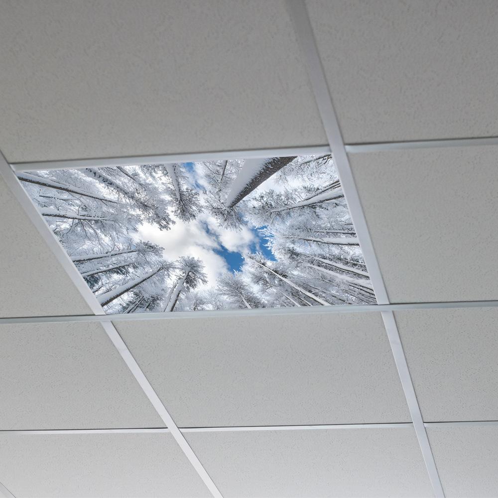 Winter Snow Forest Blue Sky White Clouds Ceiling Living Room Bedroom Beautification Wall Stickers