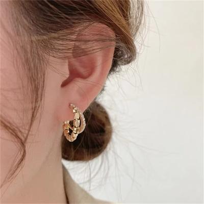 Boucle D’oreille Femmes  Earrings Ladies Womens Hoop Glossy Luxury Designer Elegant Shiny Jewelry Trend Piercing