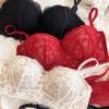 Sexy Lace Flowers Embroidery Underwear Set for Women Comfort Thicken Cup Push Up Bra Detachable Strap Top Bralette Lingerie Sets