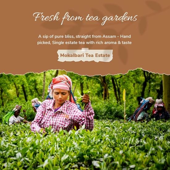 MOKALBARI Assam Strong CTC 1Kg Black Tea Second Flush | Chai Patti | Kadak Chai | Whole Leaf Tea | Rainforest Alliance Certified