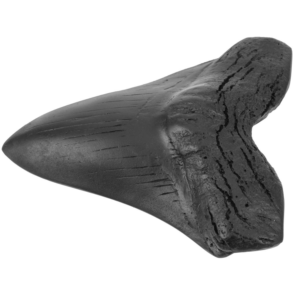 Heimdeko Gefälschter Megalodon-Zahn Knochen-Exemplar Haie Modellspielzeug Ausstellungsdekoration Westlicher Drache