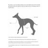 Turtle Neck Winter Dog Coat,Warm Jumpsuit Outfit for Greyhound Whippet Large Breed,Adjustable Drawstring & Strap Design Cloak