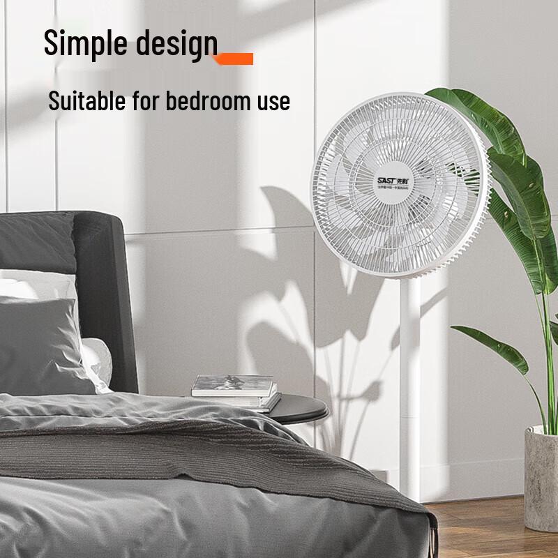 Multi-Function Household Electric Fan
