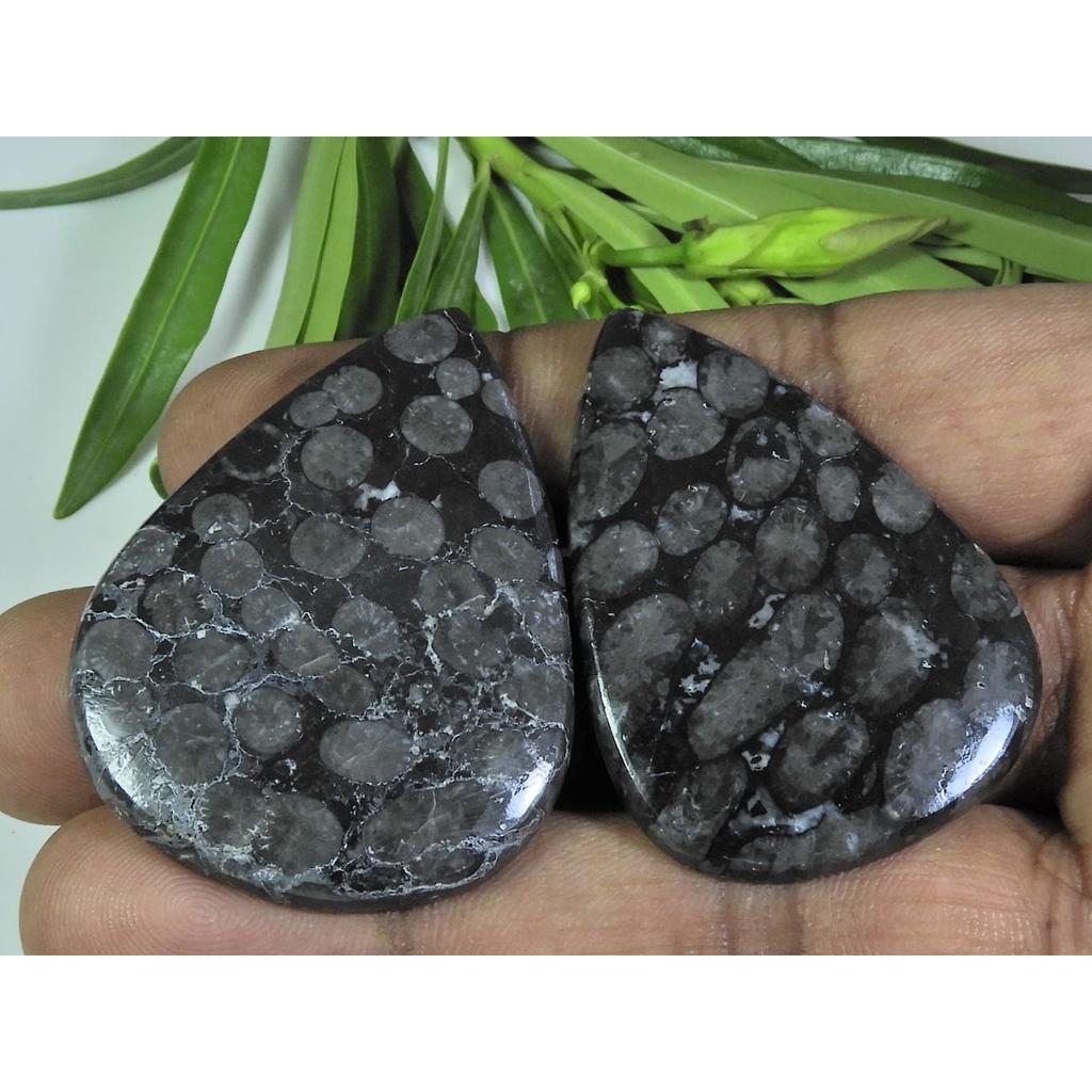 2 Stück 124 Karat. Natürlicher Schwarzer Fossiler Korallen-Perlmutt-Cabochon Edelstein 32X45-35X47MM A-115