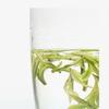 Organic Anji White Tea Chinese Spring Loose Leaf Green Tea 100g