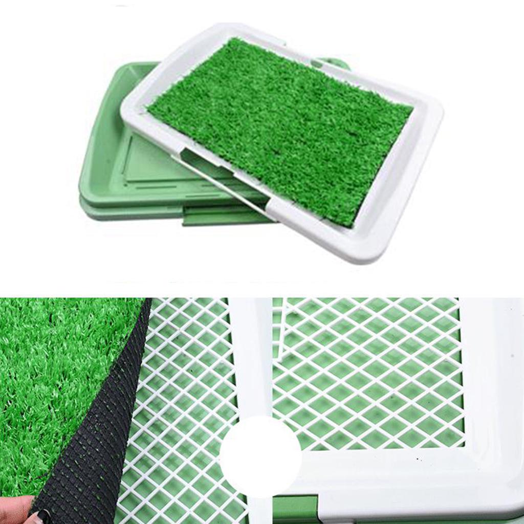 outdoor pee pad
