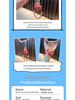 Song Brocade Fan Keychain & Cute Lucky Bag Pendant - Small Gift & Phone Charm