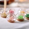 1pcs Miniature 1:12 Dollhouse Potted Glass Vase Lifelike Succulent Mode Decoration Desktop Ornaments Dolls House Accessories