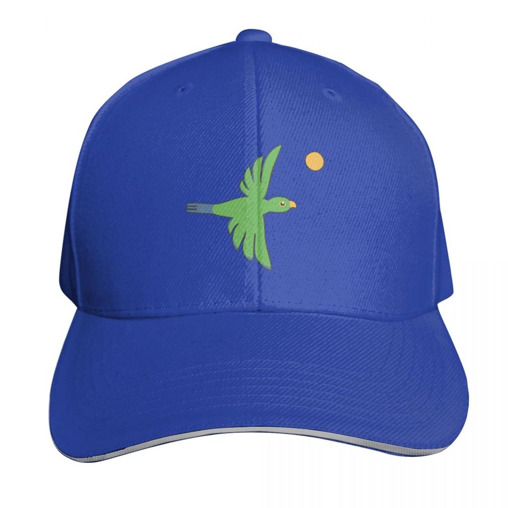 Bird Flying In the Sky Next To the Sun Baseball Cap Adjustable Buckle Closure Moisture Wicking Quick Dry Curved Brim Classic Fit