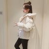 Manteau et veste à pain pour femmes, amples coréens, avec capuche, pour étudiantes, vêtements épais et chauds, hiver