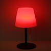Neoglint RGB Table Lamp Colorful Desk Light with Remote Controller Pull Chain   Bedside Lamp Reading Lamp USB Rechargeable for Living Room Bedroo