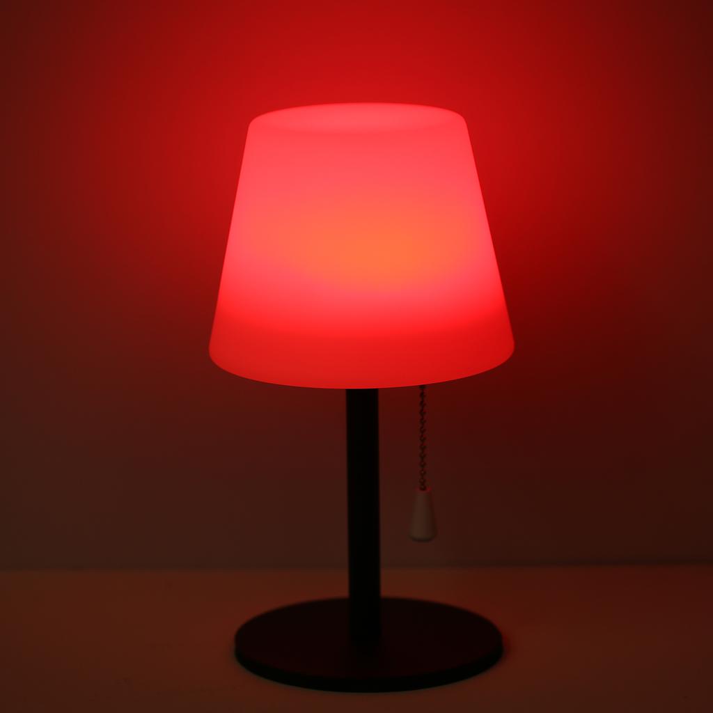 Neoglint RGB Table Lamp Colorful Desk Light with Remote Controller Pull Chain   Bedside Lamp Reading Lamp USB Rechargeable for Living Room Bedroo