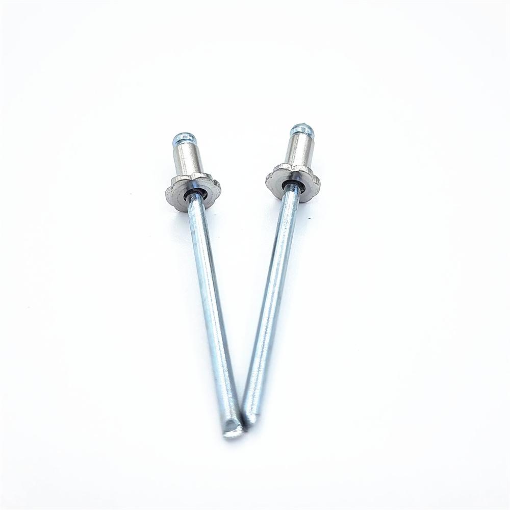 2 stk rustfrie stålnagler til GM Ford dørmerke