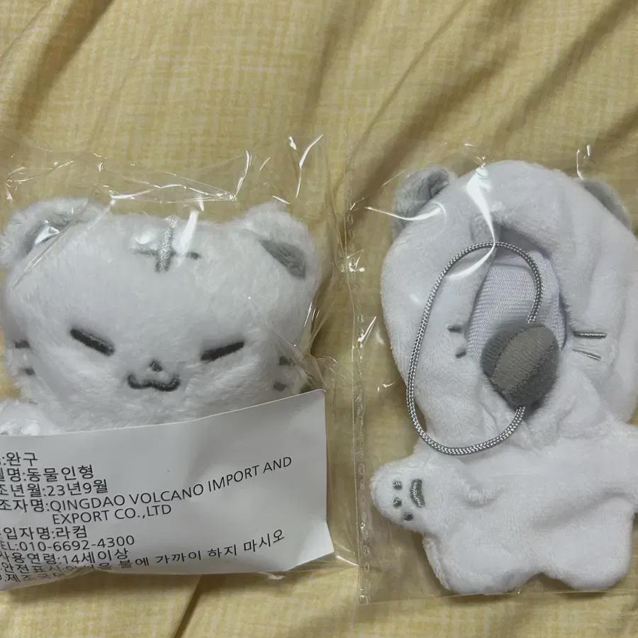 

Seventeen Hoshi Dolls For Sale In Hochi