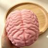 Simulated Brain Squeeze Toy Slow Rebound Stress Relieving Toy Creative Stress Relieving Toy Gift