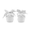 Nike Court Borough GS Couple's, Romantic Favor, Ballet Love Song, Pearl, Premium Aesthetic Low top Skateboard Shoes BQ5448-100(TeamS2-S-BOX)