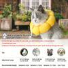Adjustable Cat Recovery Collar Cute Solar Flower Neck Cone After Surgery Adjustable Cat Recovery Collar Cute Solar Flower Neck C
