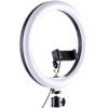 LED Ring Light Set: 10" Fill Light, 16cm Light, 8" Beauty Light, 12" Tri-Color Ring Light, 30cm Ring