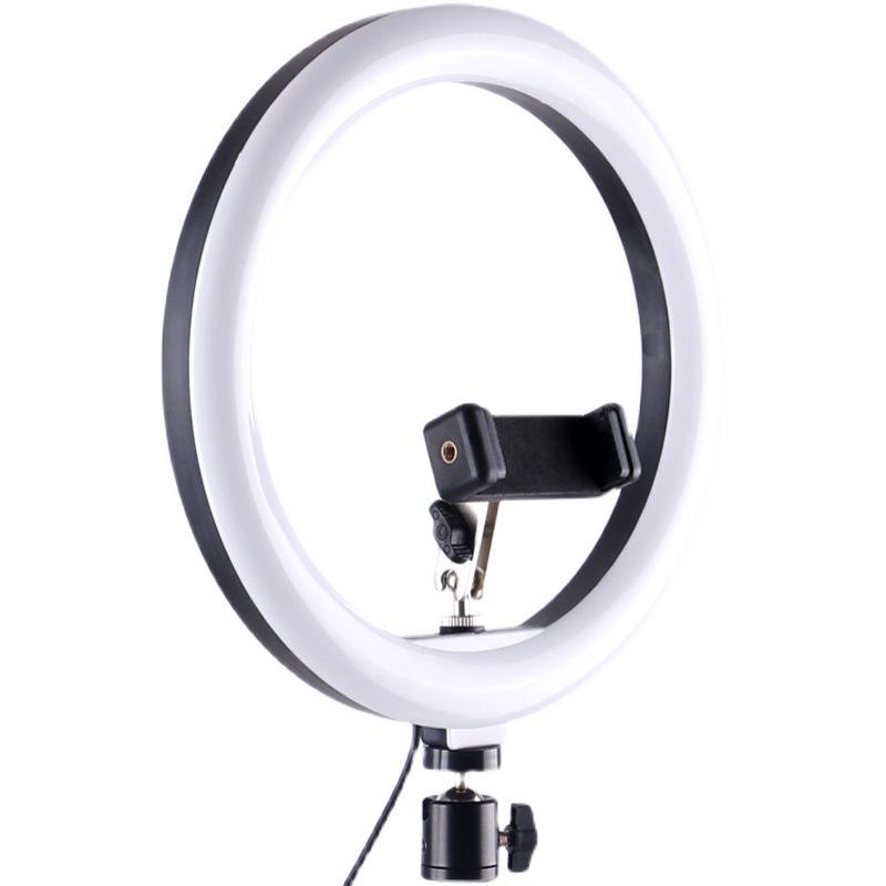 LED Ring Light Set: 10" Fill Light, 16cm Light, 8" Beauty Light, 12" Tri-Color Ring Light, 30cm Ring