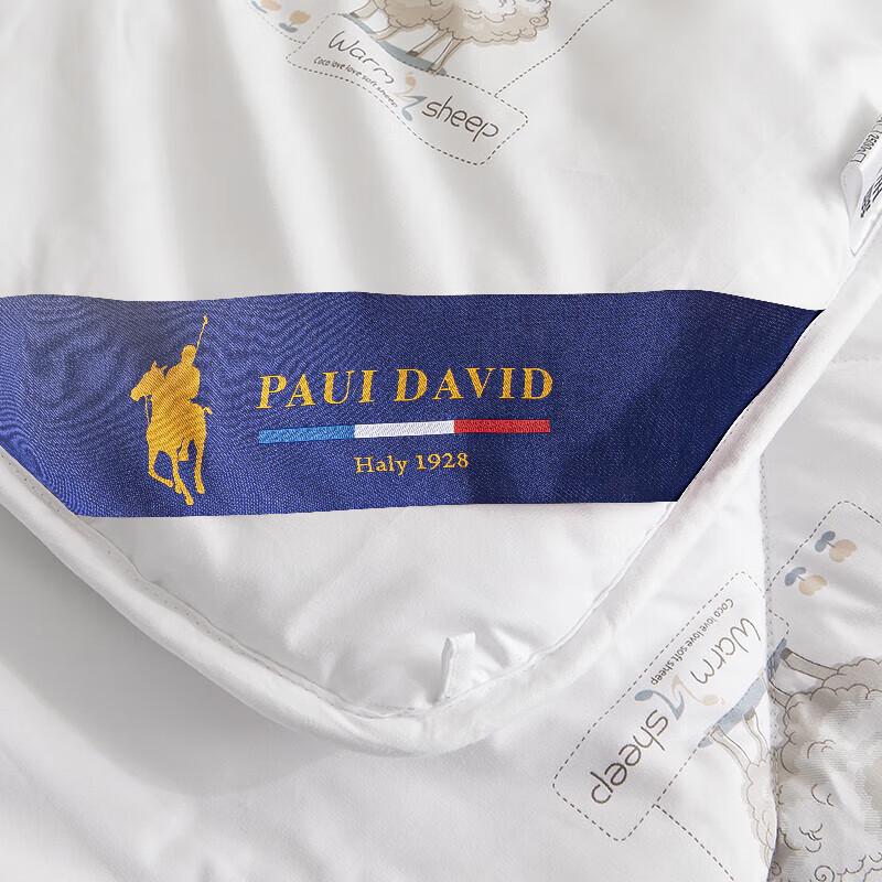 Paul David Antibacterial Wool Quilt