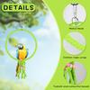 Bird Swing, 20 CM Diameter Hanging Parrot Swing with Colourful Beads, Swing Parrot Toys Cotton Rope Ring Bird Cage Toys for Budgie, Cockatiel,