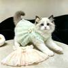 Cat skirt summer anti-hair loss cute gradual change color dress puppet cat gold gradient kitten sunscreen princess dress