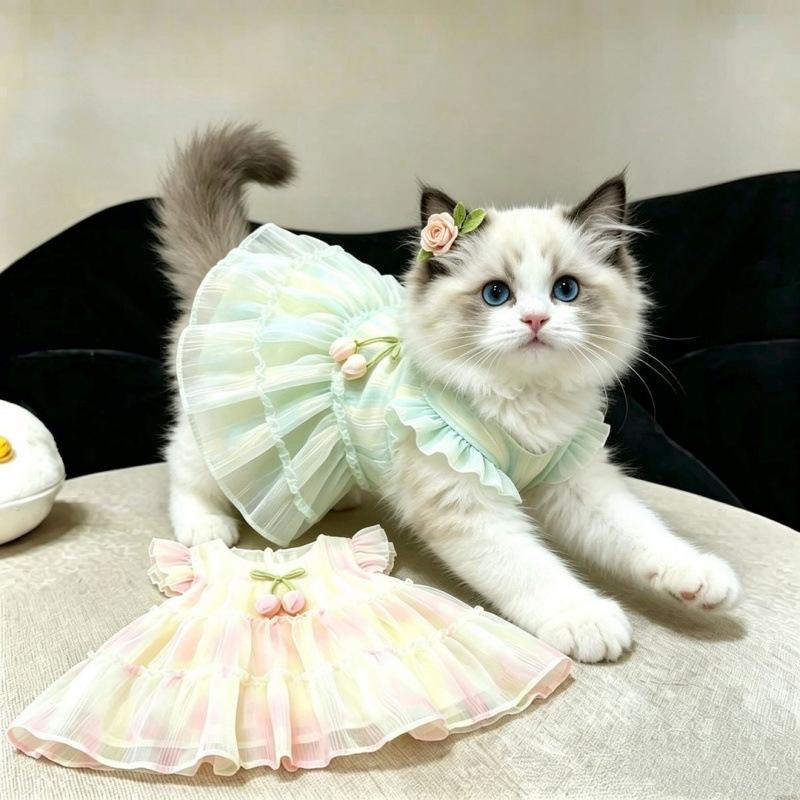 Cat skirt summer anti-hair loss cute gradual change color dress puppet cat gold gradient kitten sunscreen princess dress