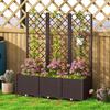 Raised Garden Bed with Trellis, Plastic Planter Box with Drainage Holes, Drain Plugs and Water Reservoirs for Climbing Plants, Vegetables, Flowers