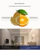 Modern Recessed LED Downlight Energy Saving Ceiling Light for Home and Office