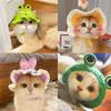 Cute Refined Cat Hat Elastic Autumn Winter Pet Puppy Kittens Knitted Headgear Party Photo Shooting Props Decoration Pets Costume