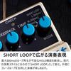 BOSS effect dedicated adapter VOX guitar cable DD-3T pedal, PSA-100S2, VGS-30 (3-piece set)