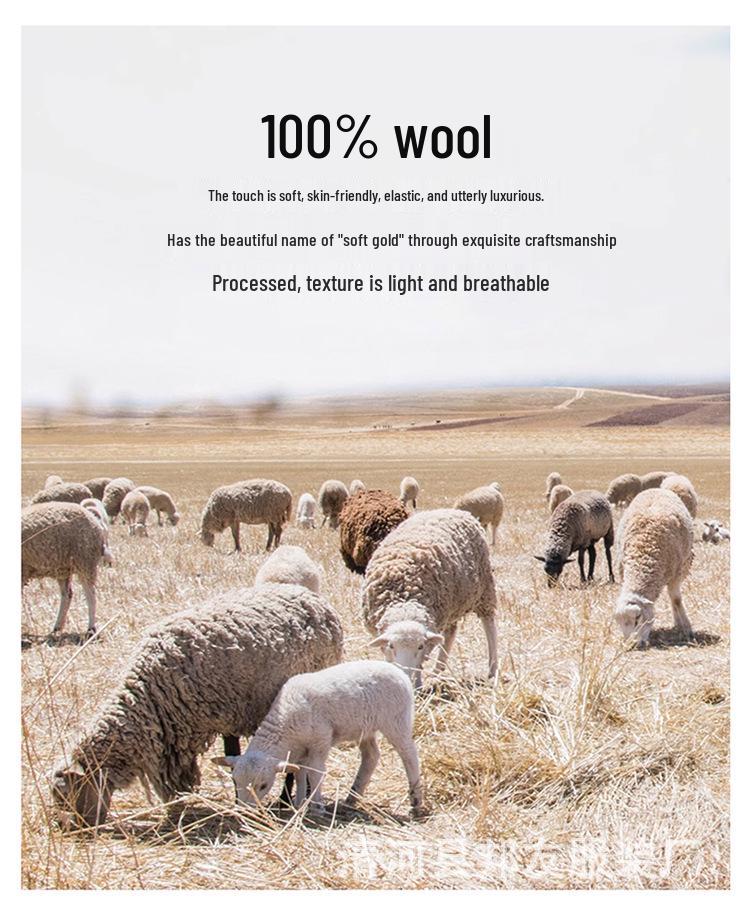 Men's Pure Wool V-Neck Sweater - Loose Fit, Plus Size, Cashmere Blend, Autumn/Winter Collection