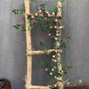Artificial Rose Vine Wall Hanging for Indoor Decoration