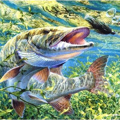 Diamantmalerei Tier Fisch Diamant Stickerei Landschaft Bild Diamant Kreuzstich