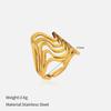 European Stainless Steel Geometric Twisted Women's Light Luxury Open Ring