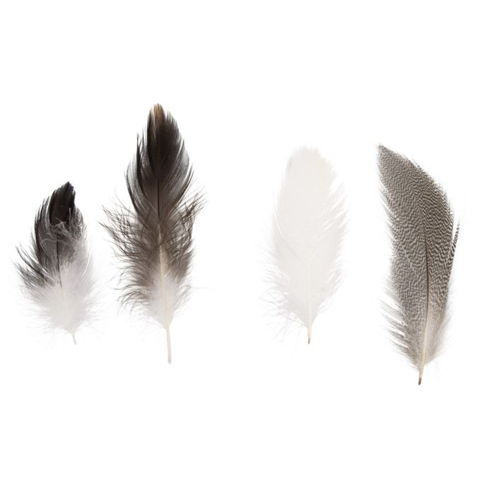 Plumes Mélange Pepita 7-9 cm 10 g